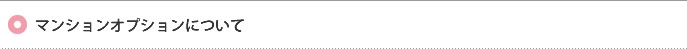 マンションオプションとは